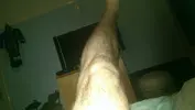 IMAG0245.webp