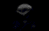 121105681941b7b689078d0.gif