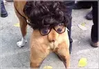 download.webp