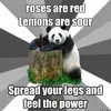 33193668e574a379f45ab0094970908869846db764f354548696f4a6f15eefbb.webp