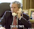 bush.webp