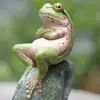 animals-as-humans-frog.webp