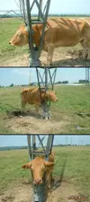 collegehumor.11049f5ac865366392f15a522706a25d.webp