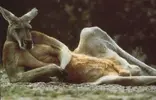 tumblr_lvunjrc4zP1qhsuv2o1_500.webp