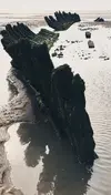 Shipwreck 3.jpg Shipwreck 3.jpg