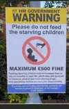 tory sign.jpg tory sign.jpg