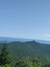 MVIMG_20200906_161725.jpg