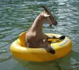 CJets0VUsAEaZzA.webp