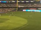 MillerPark-4.webp MillerPark-4.webp