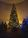 IMG-20201127-WA0008.webp