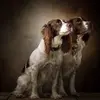 A29B5E86-F034-48A9-8E8B-C9E5A99F0FD6.webp