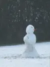 snowman.jpg