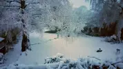 20210117_075344.jpg