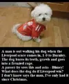 1611484397967.webp