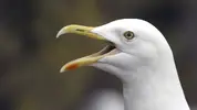 347D573D-CE8E-48BC-A0C5-9A5F79B053F7.webp
