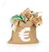 44496990-bag-of-money-with-different-euro-bills.webp