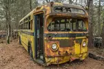 BUS..webp