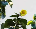 11ED1C8F-0A16-488C-87E6-9F606DC6985E.webp