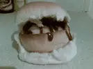 1614438896273.webp