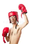 box.webp