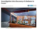 RS Shebeen.webp