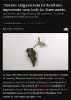 Screenshot_20210319-095136.webp