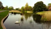 Princes Park Lake 2a.webp