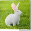 AEE11801-0B83-4938-8F19-1D853FC4CDDF.webp