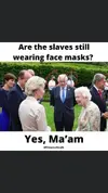 1623706816763.webp