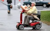 1624518017166.webp