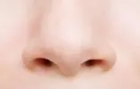 the-nose.webp