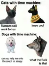 60962F87-11BA-4240-BD4C-918B62F037FD.webp