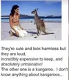 kangas.webp