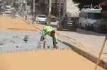 road2.jpeg