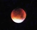 moon9 (2).webp