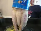 chicken-can-3.webp