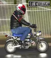 image.webp