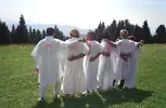 Cult.webp