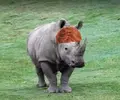 20210915191325.webp