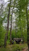 20210430_200645.jpg