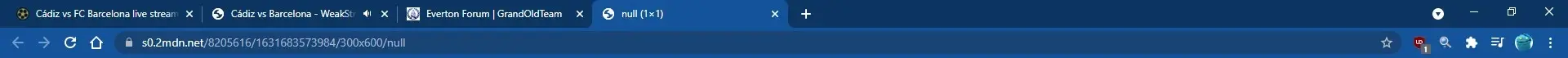 poppy.webp