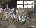 monty python run away run away.webp