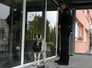 kladno-kozel-2.webp