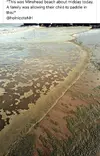 1635267698285.webp