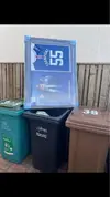 Stevie G in the bin.webp