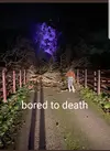 20211127_113846.webp