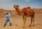 FBHTMoQXEAAmyd7.webp