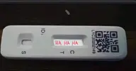 1641051857325.webp