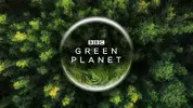 green-planet.webp