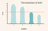 1801734-Average-Penis-Size.webp